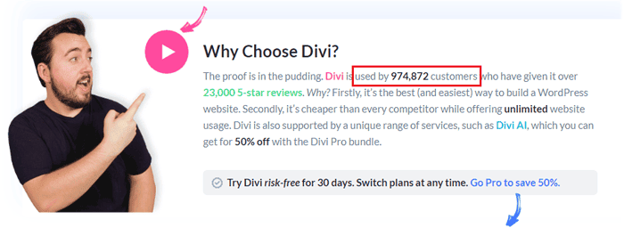 Elegant themes review hình 2