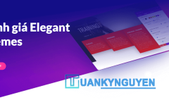Elegant Themes review