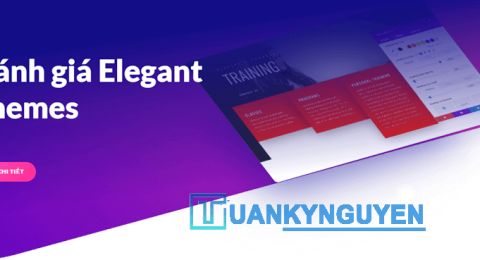 Elegant Themes review