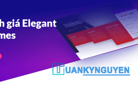 Elegant Themes review