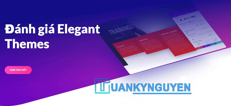 Elegant Themes Review: Theme WordPress có đáng để mua?