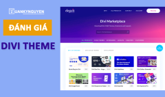 Divi theme review