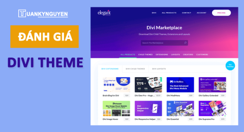 Divi theme review