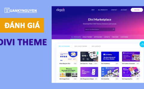 Divi theme review