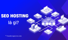 SEO hosting là gì