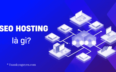SEO hosting là gì