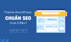Mua Theme WordPress chuẩn SEO ở đâu uy tín?