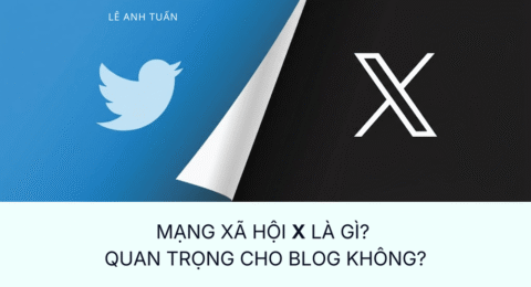 X là gì?