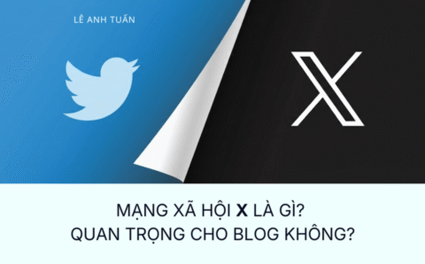 X là gì?